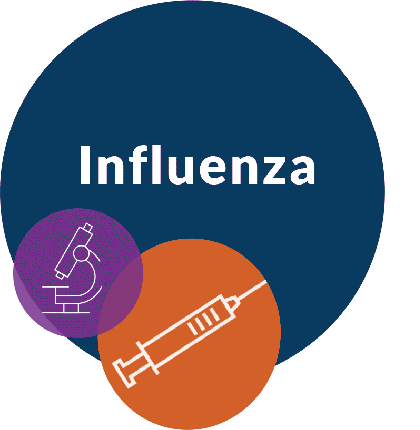 Influenze Information Graphic