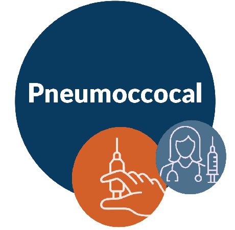 Pneumoccocal Information Icon Image