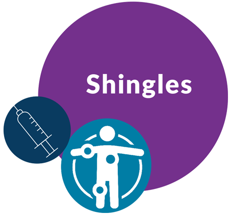 Shingles Information Icon Image