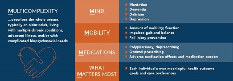 A Chart Describing the Geriatrics 5Ms