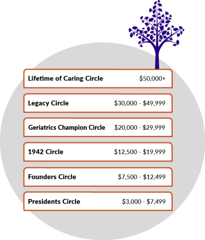 HiAF Giving Circles Graphic of Donor Recognition Levels